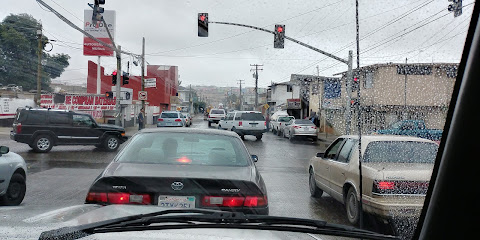 Gato Bronco Gasolinera