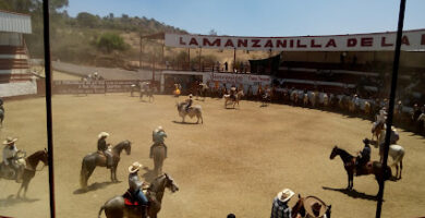 Gasolinera la Manzanilla