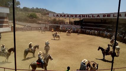 Gasolinera la Manzanilla