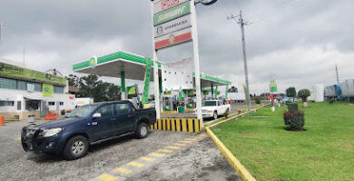 Servicio Bp