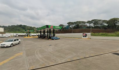 Gasolinera El Llano 8101